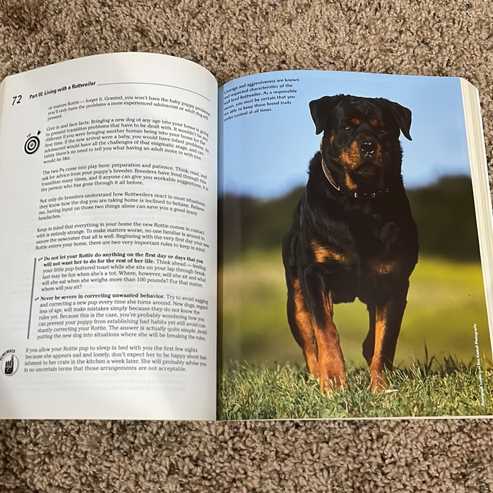 ✨ Host Pick✨ 2 Rottweiler books. - Picture 8 of 13